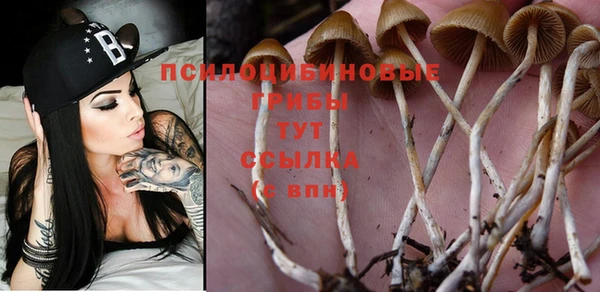 каннабис Белокуриха